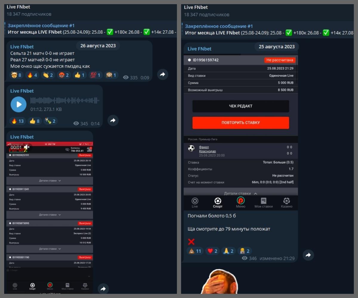 live fnbet отзывы телеграмм live fnbet отзывы телеграмм