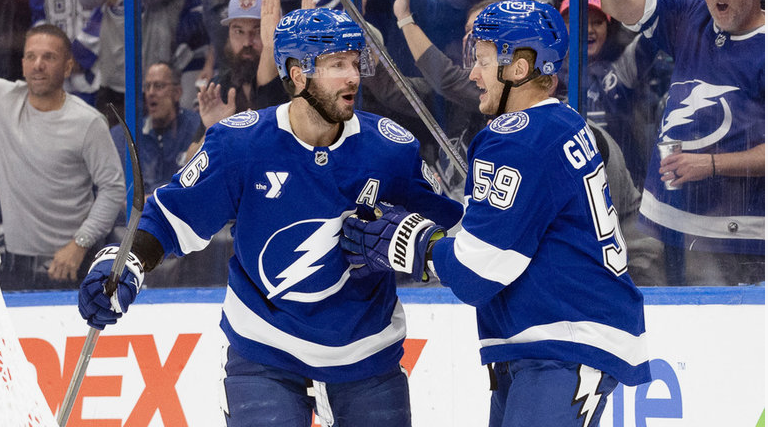 тампа бэй лайтнинг миннесота уайлд матч прогноз тампа бэй лайтнинг миннесота уайлд матч прогноз