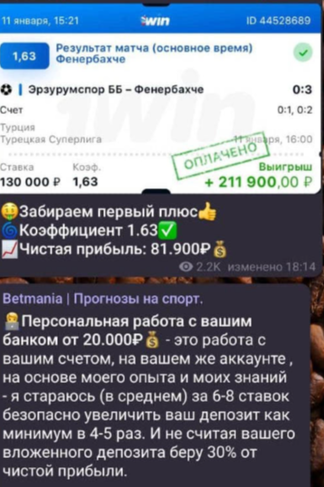 crazy bets crazy bets