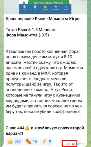 блог беркута блог беркута