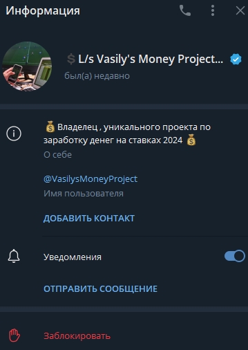 vasilysmoneyproject vasilysmoneyproject