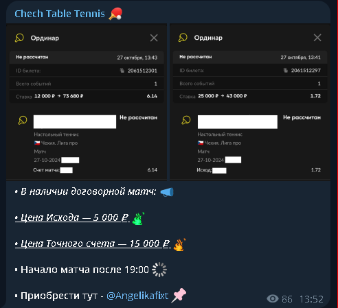 Чех Тейбл Теннис Чех Тейбл Теннис