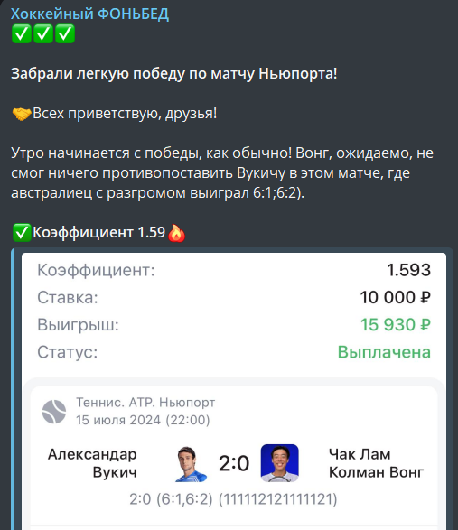 Profit Minaev Mikhail