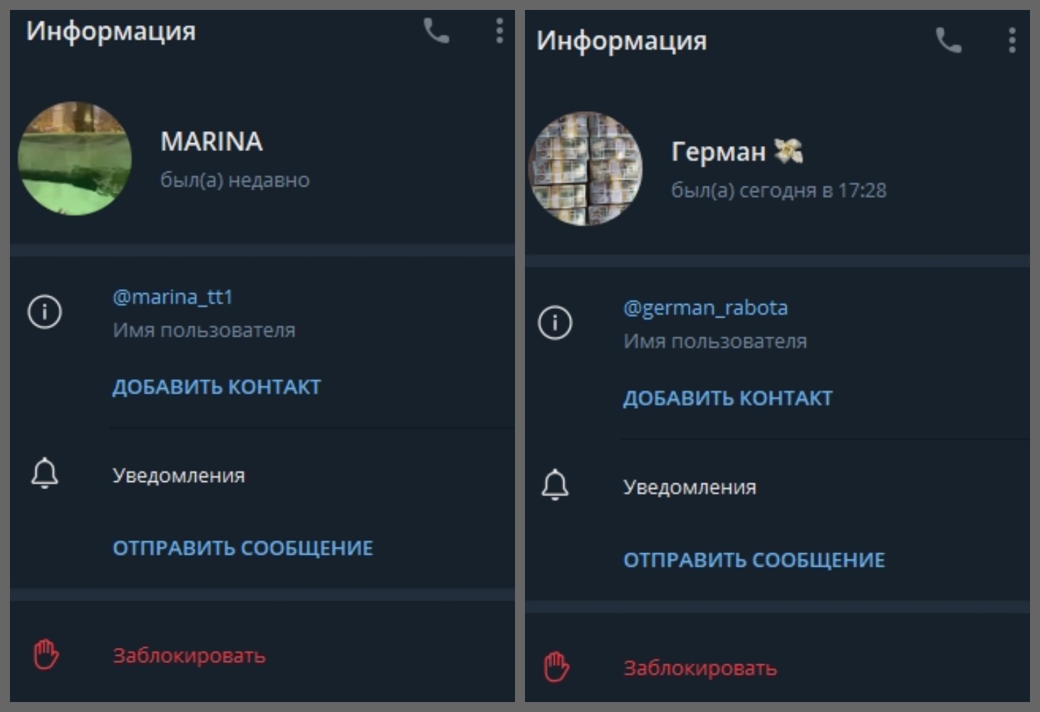 RISK телеграмм канал