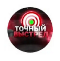 Точный Выстрел по БК