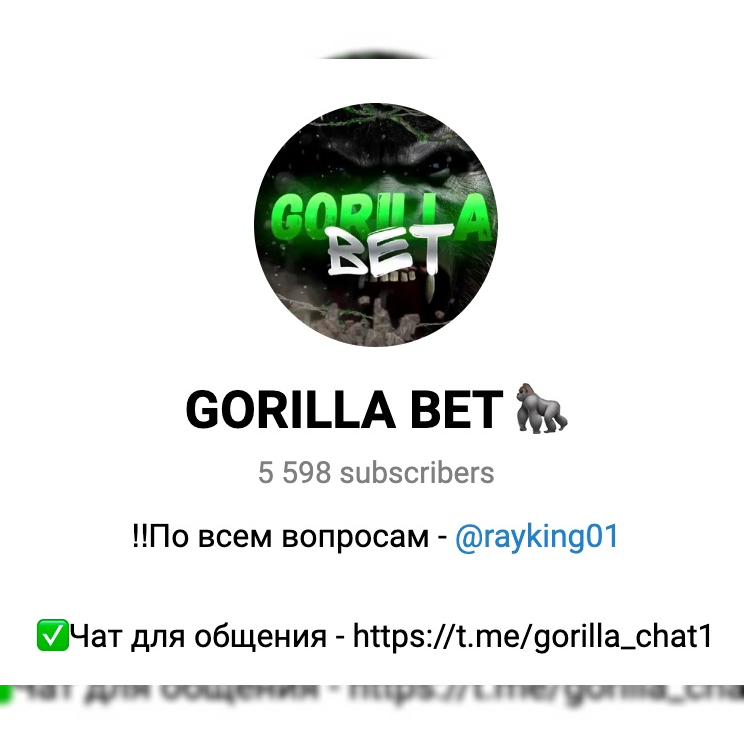 Gorilla Bet
