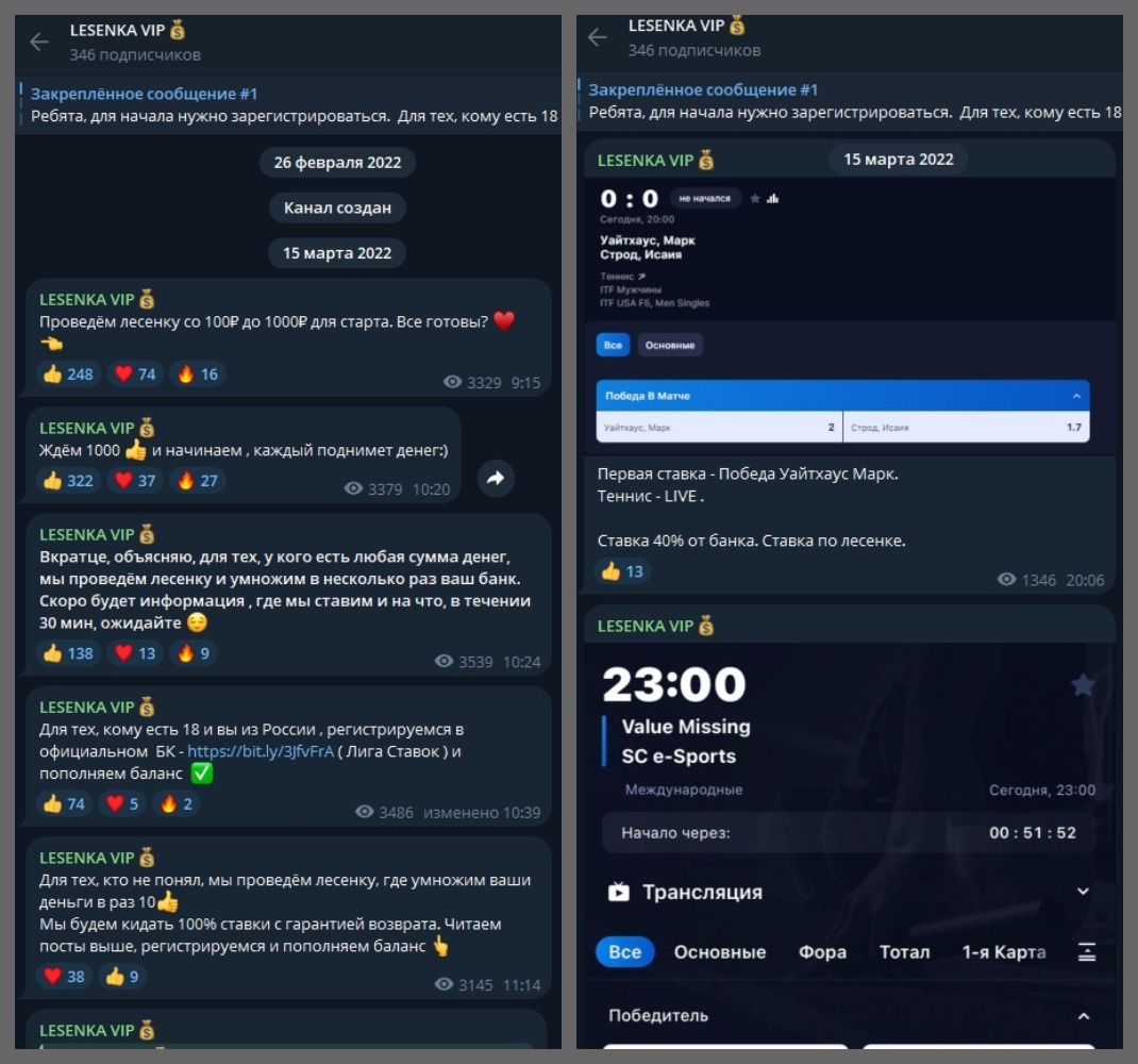 лесенка вип телеграмм