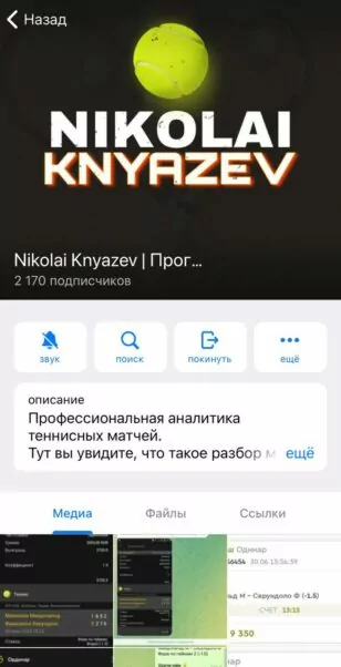 Николай Князев