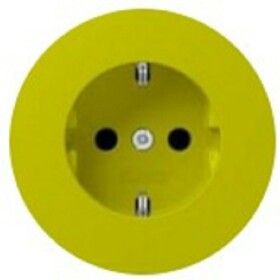 Прогнозная Розетка