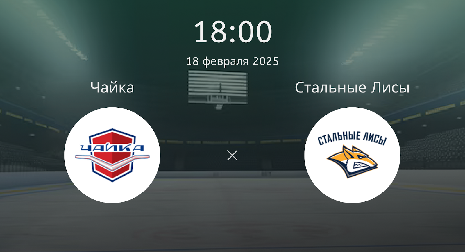 Чайка – Стальные Лисы