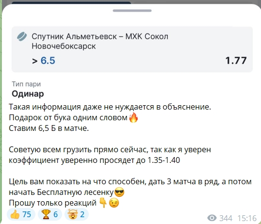 Диванный хоккеист Диванный хоккеист