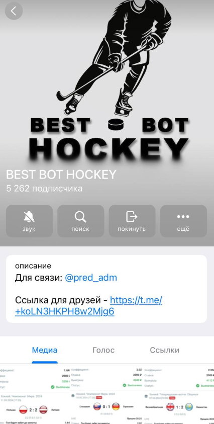 BEST BOT HOCKEY BEST BOT HOCKEY