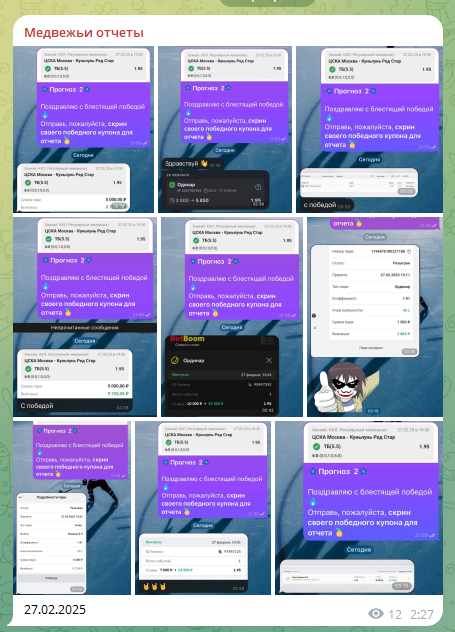 CareerBear CareerBear