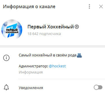 Первый хоккейный