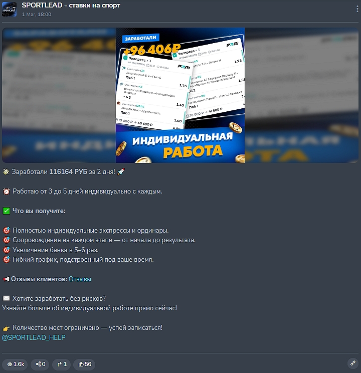 SPORTLEAD support SPORTLEAD support