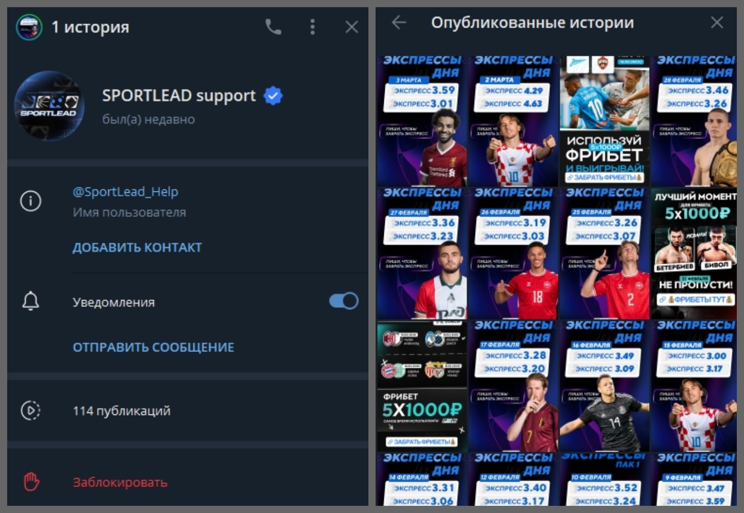 SPORTLEAD support SPORTLEAD support