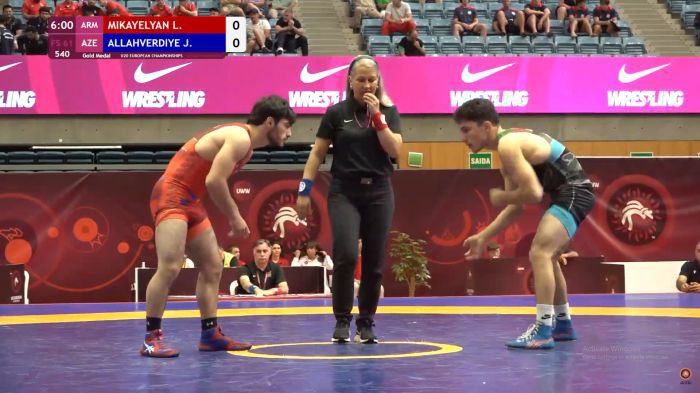 В Армении появился новый чемпион Европы по вольной борьбе