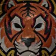 Tiger Force