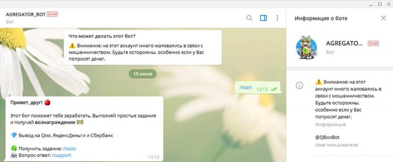 Агрегатор Бот Агрегатор Бот
