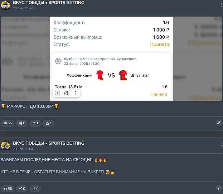 ALEX BETTING ALEX BETTING
