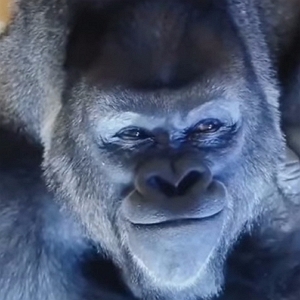 Царская ставка