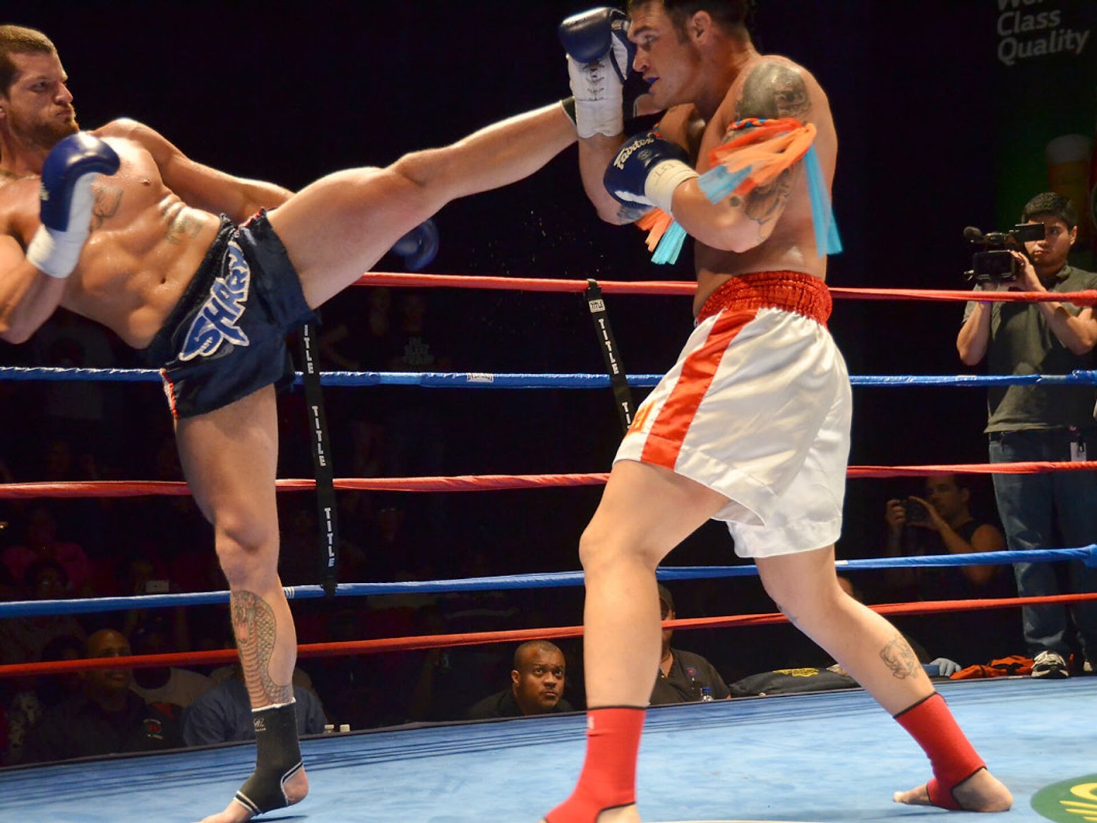 Армения завоевала три золотые медали на WMF 2025 в Таиланде