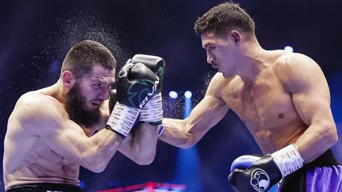 Стало известно, сколько платных трансляций продал реванш Бивола и Бетербиева