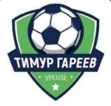 Тимур Гареев