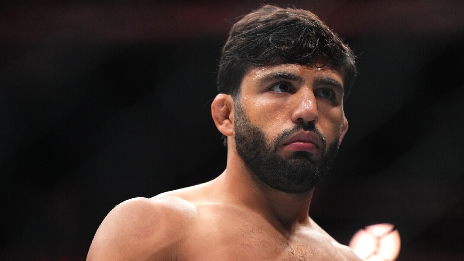 Томсон: Махачев может сменить весовую категорию