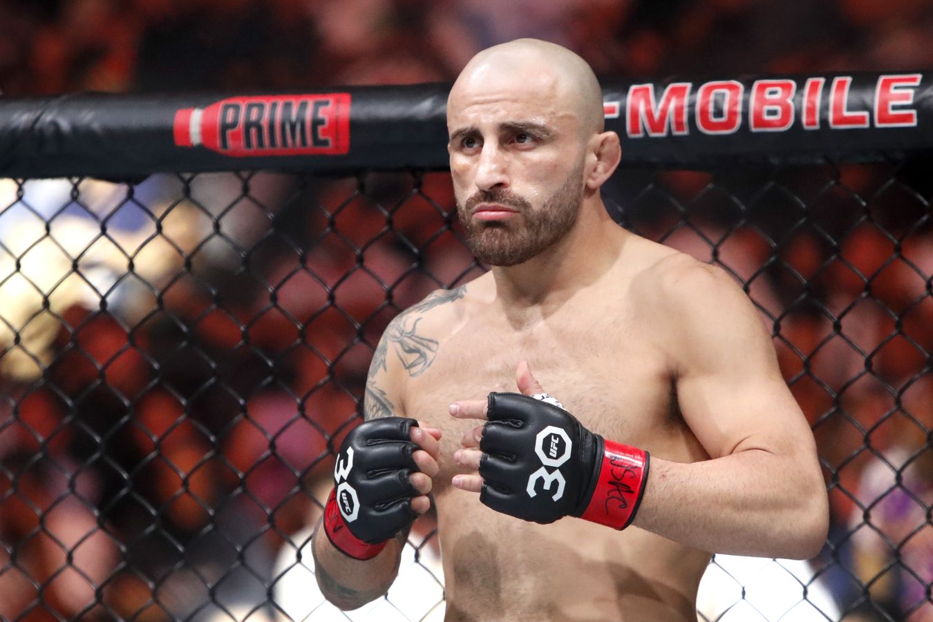 Раскрыты гонорары Волкановски и Лопеса за титульный бой на турнире UFC 314