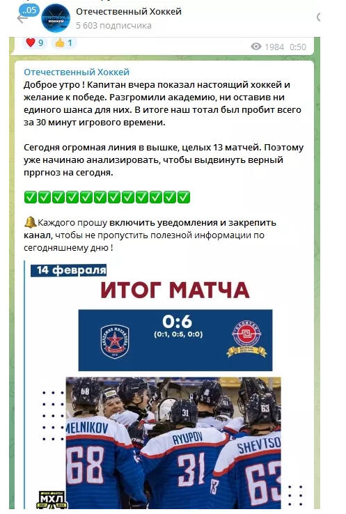 Отечественный хоккей Отечественный хоккей