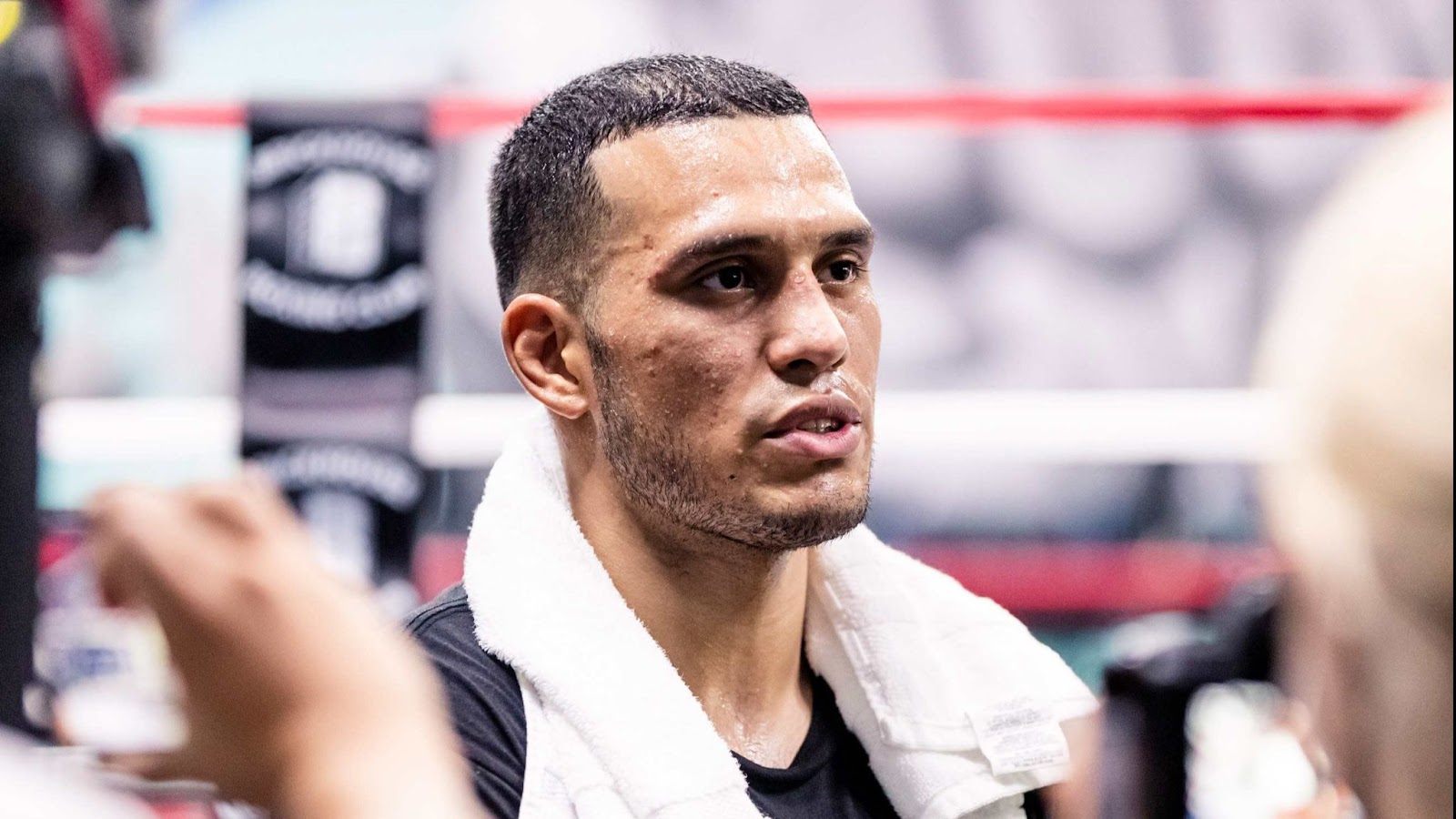 Дэвид Бенавидес претендует на ещё один титул Дмитрия Бивола