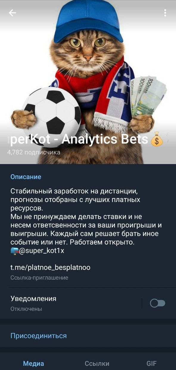 СуперКот СуперКот