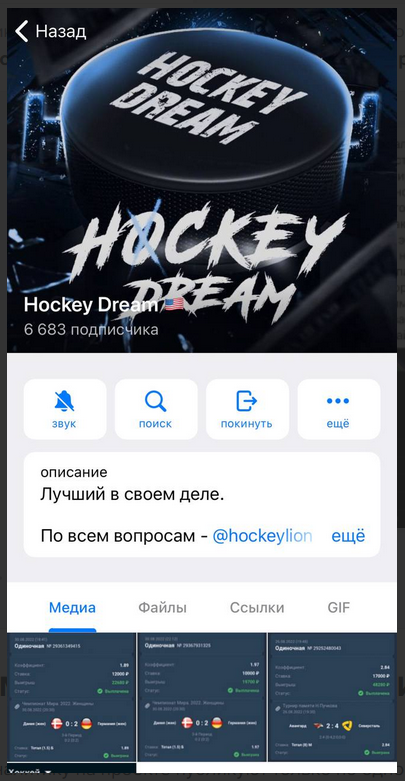 Hockey Dream