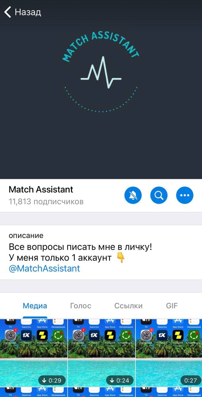 Match Assistant
