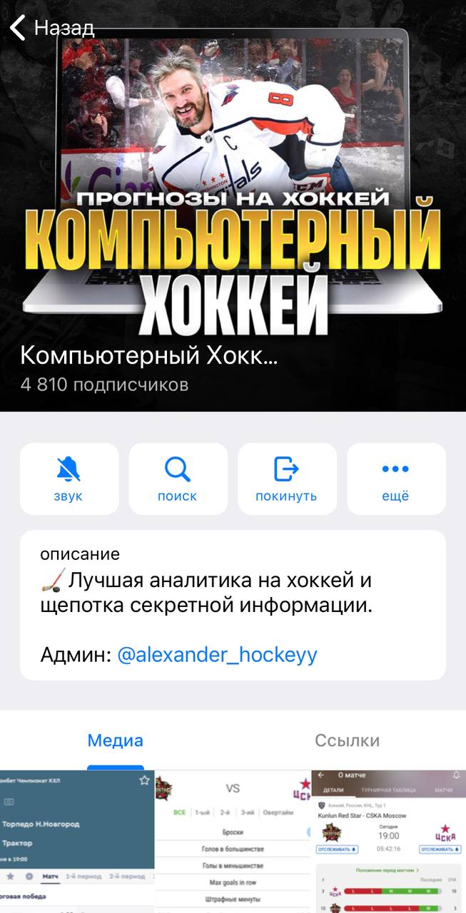 Компьютерный Хоккей