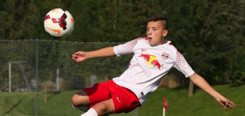 Братья Геворгяны в команде Армении