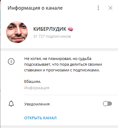 Киберлудик Киберлудик