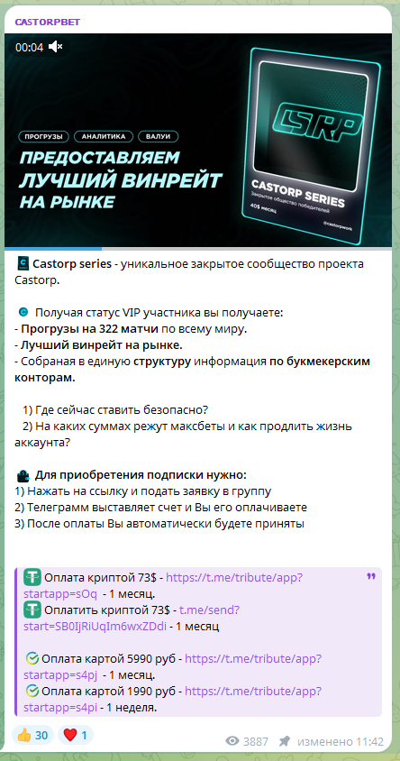 castorpbet-razoblachenie castorpbet-razoblachenie