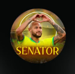 Senator | Футбольная Аналитика