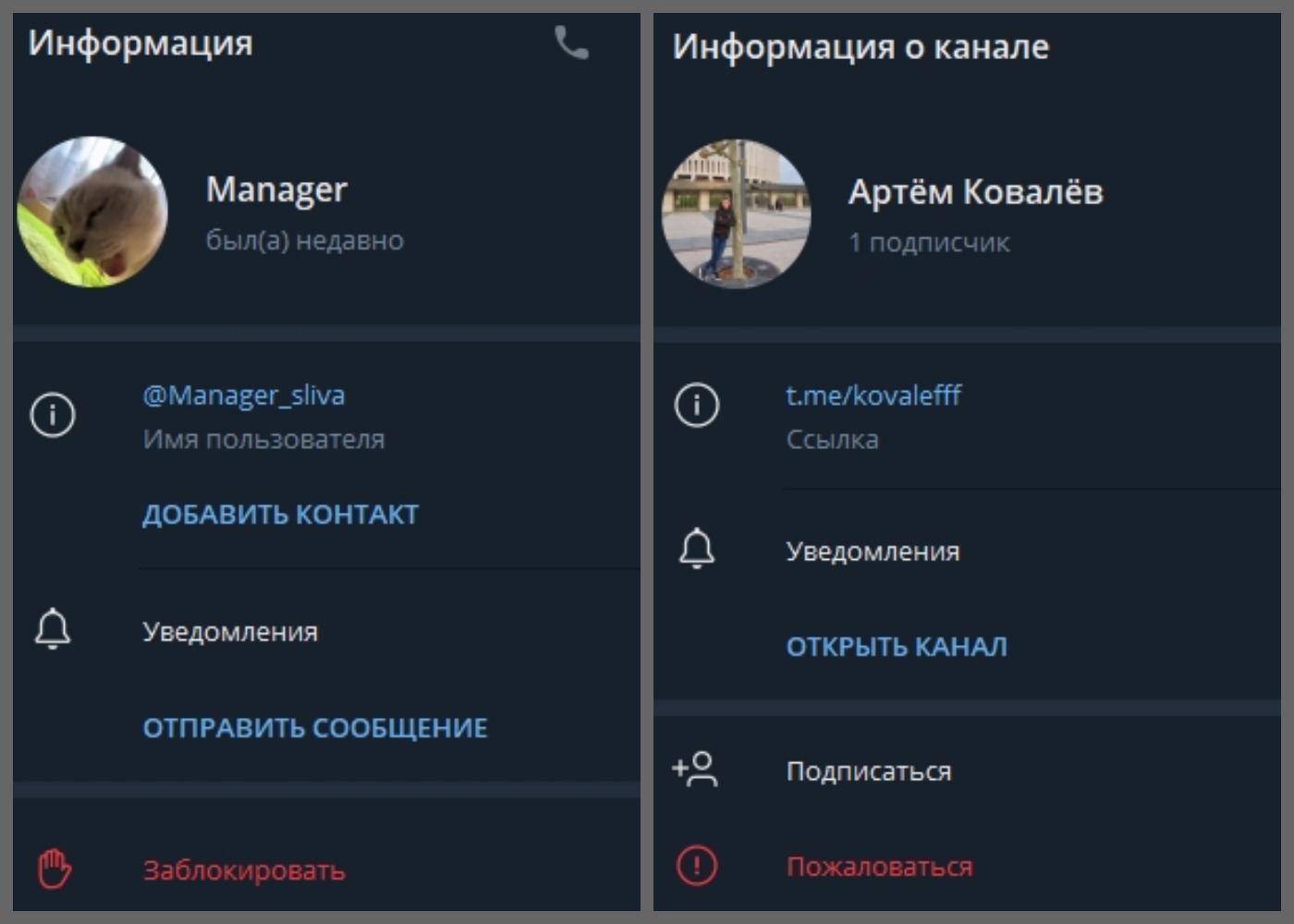 Прогноз и ставка ВИН Прогноз и ставка ВИН