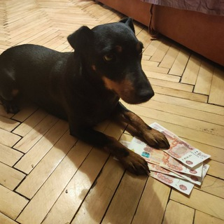 Вадим Антонов