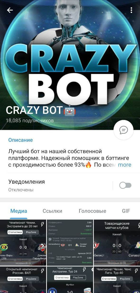 CRAZY BOT CRAZY BOT