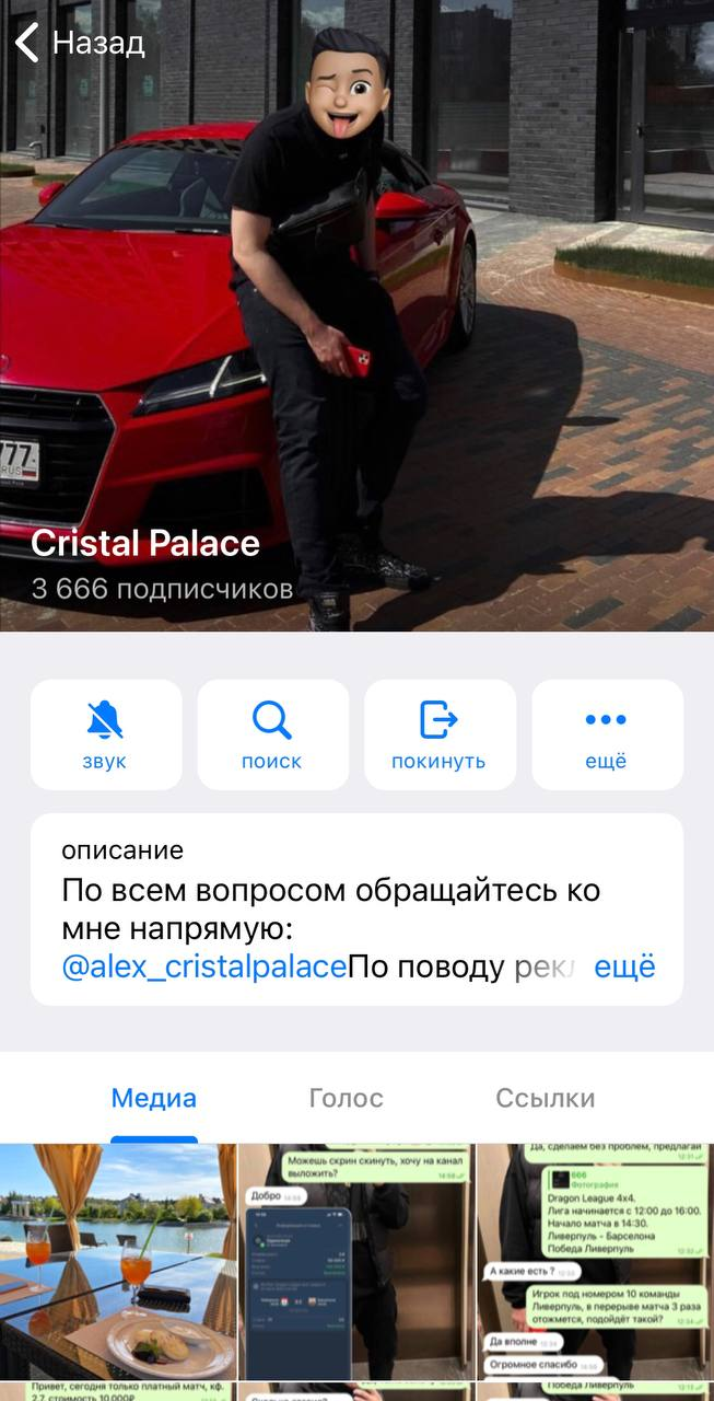 Cristal Palace Cristal Palace