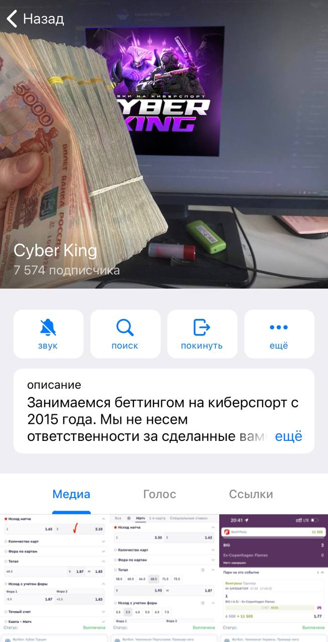 Cyber King Cyber King