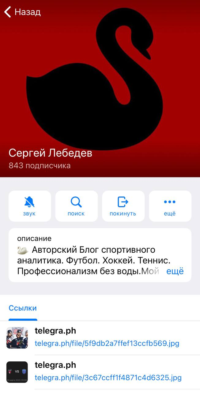 Сергей Лебедев Сергей Лебедев