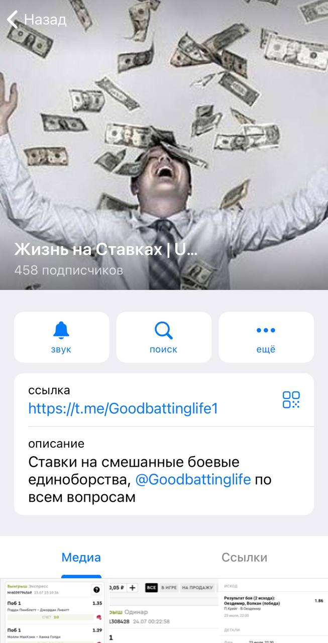 Жизнь на Ставках