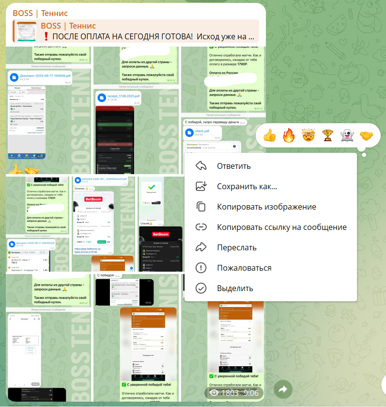 boss tennis boss tennis