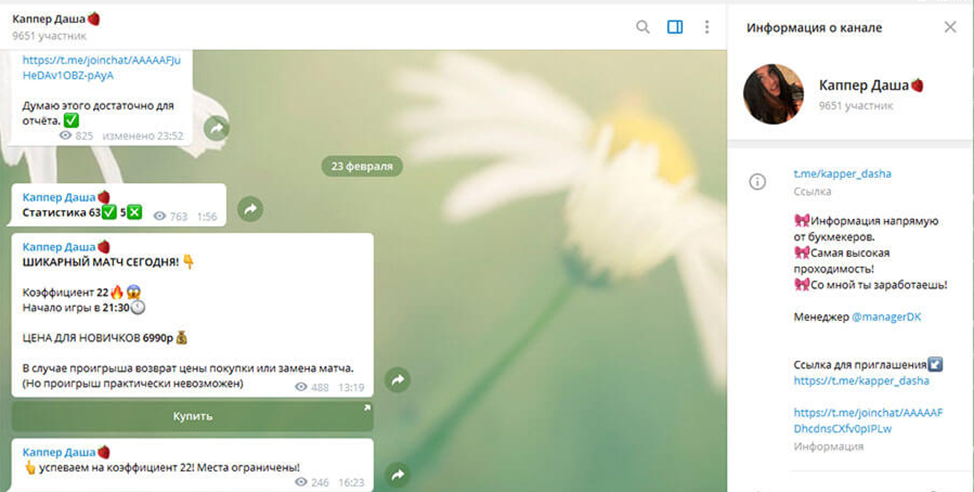 Каппер Даша Каппер Даша