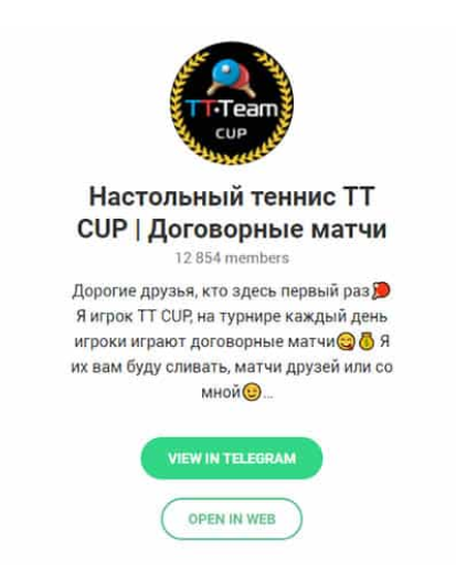 Настольный теннис TT CUP Настольный теннис TT CUP